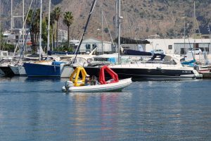 516582572 10227925375815918 2923226339802266798 n