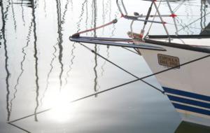 Immagini della Regata Cinque Fari 2019