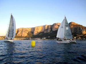 arrivo-globulorosso (1)